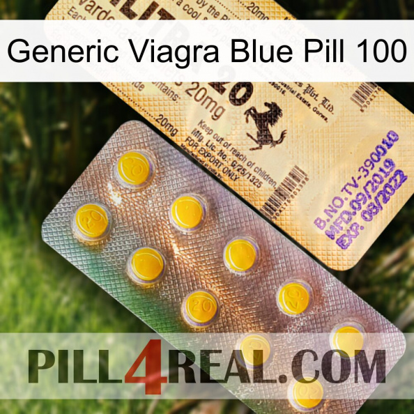 Generic Viagra Blue Pill 100 new06.jpg